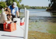 Lilly Center offers notifications for blue-green algae toxin updates