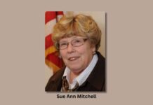 County councilwoman Mitchell tops two others in race for commissioner