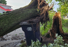 700 in North Webster still without power