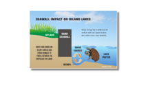 Shoreline grant program available on four lakes