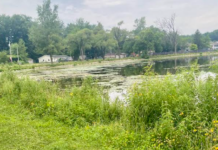 Warsaw to revise Pike Lake shoreline project to improve fishing access