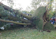 Disaster declaration appoved after 115 homes damaged by storm