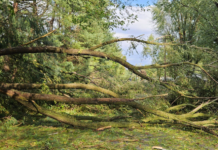 NWS says microburst winds hit near 80 mph