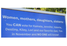 Local Democrats focused on state and presidential races