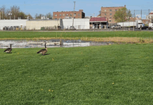 Old plan to move Warsaw skate park gains new momentum