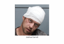 Heavily intoxicated man repeatedly flees police, but canine ends pursuit