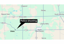 65-year-old Silver Lake man killed by police near Disko