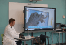 Four Warsaw elementaries earn STEM recertification from state
