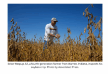 Trump’s trade battle with China puts US soybean farmers in peril