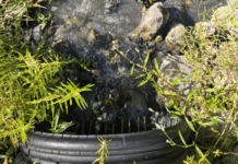 Winona Lake and Lilly Center respond to pollution in Cherry Creek