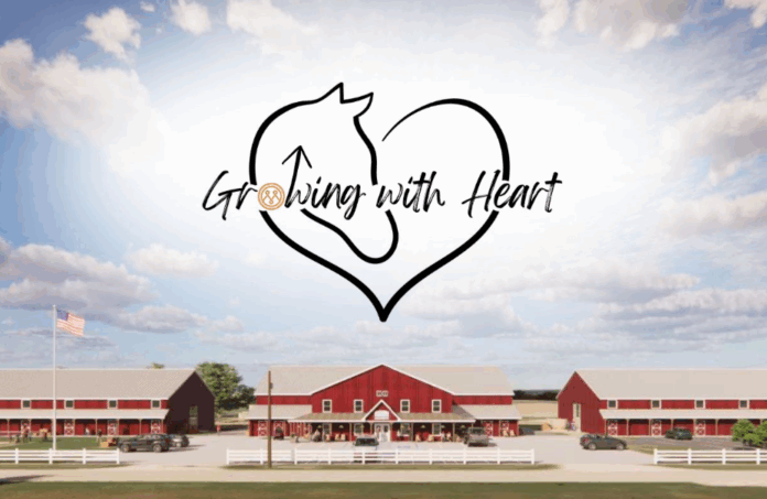 Screenshot 2025-09-19 062739