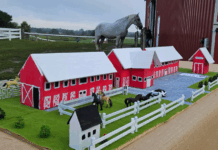 Giddy up! Magical Meadows set to begin construction on two new riding arenas