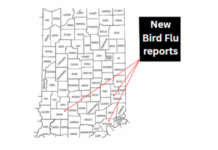 Three more cases of Bird Flu documented in southern Indiana