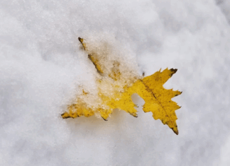 Accumulating snow expected Saturday night across the region