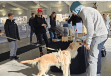 WL winter farmers market adds to holiday bustle as skate rink opens for season