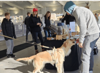 WL winter farmers market adds to holiday bustle as skate rink opens for season