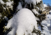 Forecast: Temps could climb into the 40s by Thursday