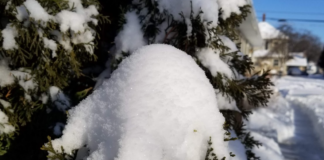 Forecast: Temps could climb into the 40s by Thursday