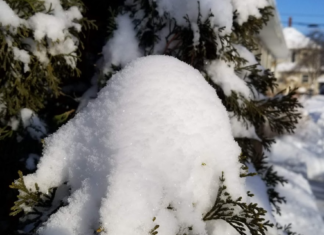 Forecast: Temps could climb into the 40s by Thursday