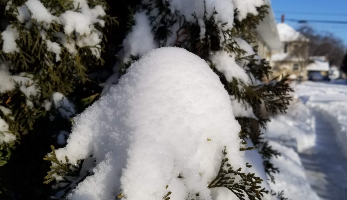 Screenshot 2025-12-15 054939