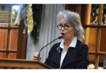 State Senate committee supports redistricting, but bill’s future remains murky