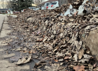 Warsaw restarts leaf pickup after interruption from recent heavy snow