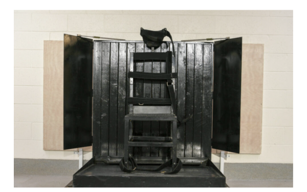 Untitled design - 2026-01-29T052617.877