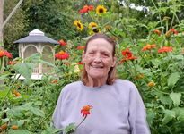 Deborah D. Burkholder