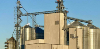 Largest US egg producer acquires Creighton Bros egg production