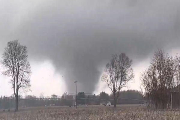 Untitled design (20)