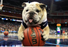 PETA urges Butler University to replace Bulldog mascot with Bullfrog