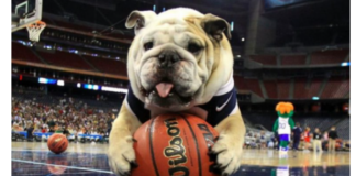 PETA urges Butler University to replace Bulldog mascot with Bullfrog