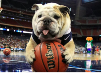 PETA urges Butler University to replace Bulldog mascot with Bullfrog