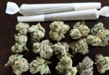 Braun signals openness to marijuana legalization as outside report outlines policy considerations