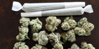 Braun signals openness to marijuana legalization as outside report outlines policy considerations