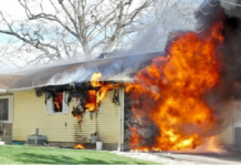 One person injured, two dogs killed in Sunday afternoon fire