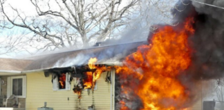 One person injured, two dogs killed in Sunday afternoon fire