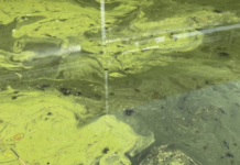 Center for Lakes and Streams drawing support from various groups for Lake Rx initiative