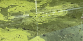 Center for Lakes and Streams drawing support from various groups for Lake Rx initiative