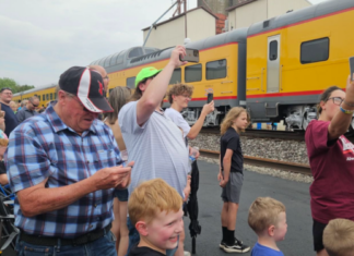 Post by historic train group laments safety issues after dog killed in Mentone