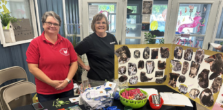 Local trap, neuter, return group helps communities with cat populations