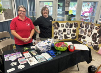 Local trap, neuter, return group helps communities with cat populations