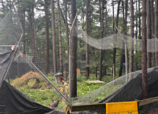Black Pine Animal Sanctuary seeks donations after recent storm damage