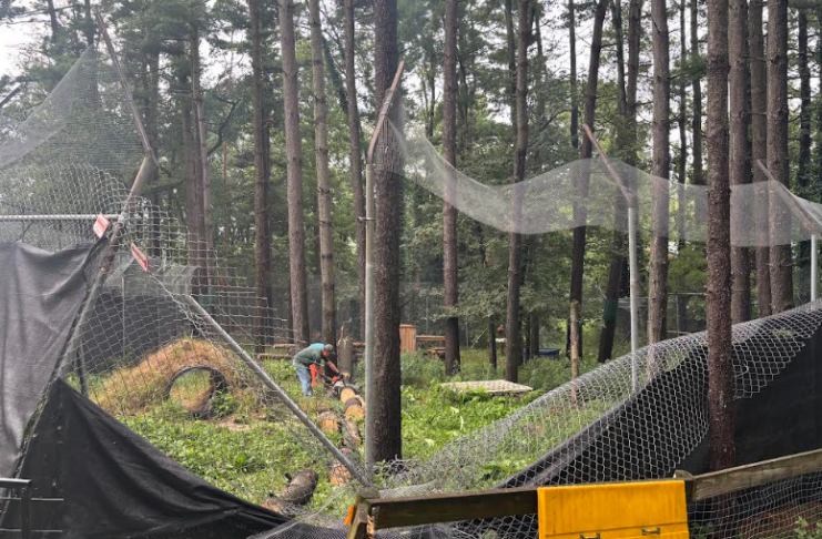 Black Pine Animal Sanctuary seeks donations after recent storm damage