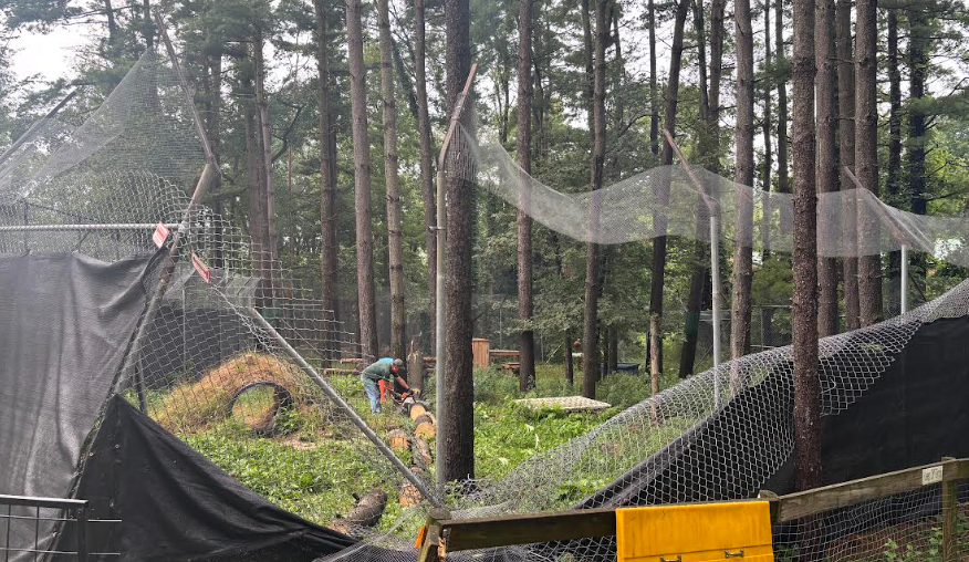 Black Pine Animal Sanctuary seeks donations after recent storm damage