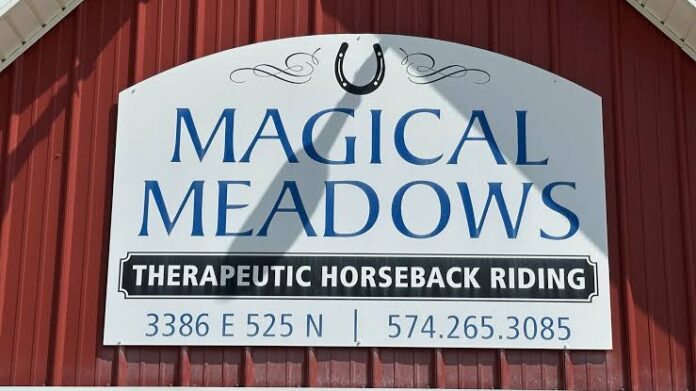 magical meadows logo