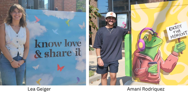 New artwork brightens up two downtown utility boxes in Warsaw