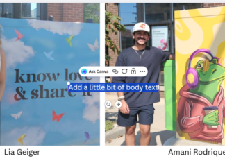 New artwork brightens up two downtown utility boxes in Warsaw