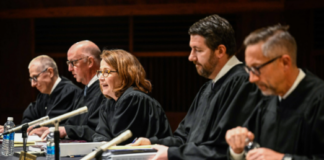 State Supreme Court halts ballot distribution while it considers recount of 3-vote senate primary race