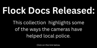 Flock documents: Examples of positive impact from existing policy and an FAQ
